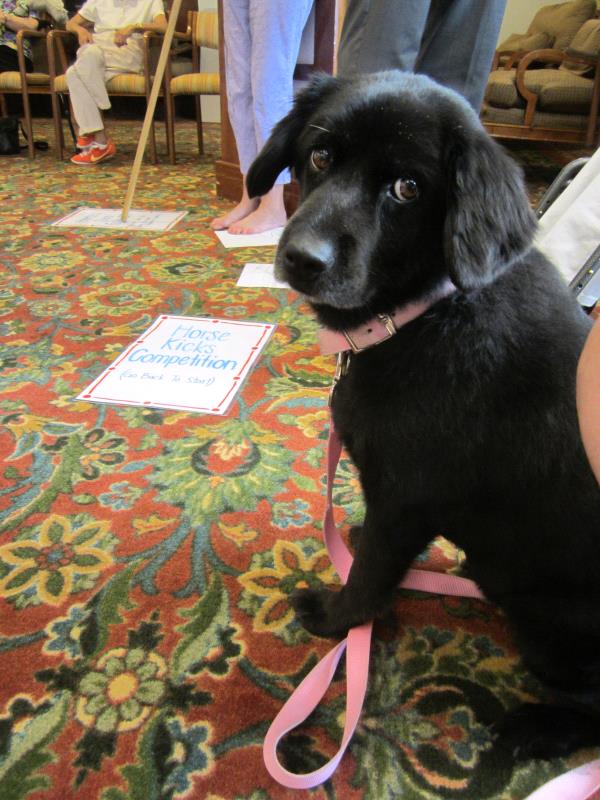 /Images/uploads/Humane Society of Utah/HSUCalendar/entries/1597thumb.jpg